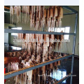 Frozen seafood chinese supplier offer dried squid
